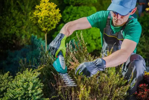 landscaping services Round Lake